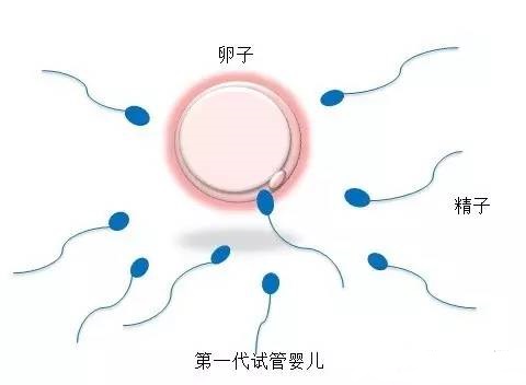 人工志愿者供卵咨询费用多少